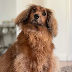 Meet your Posher, Beverly